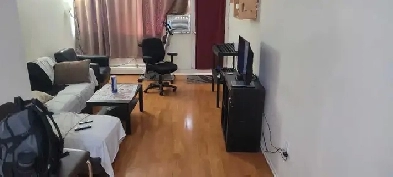 room available bayshore area Image# 5