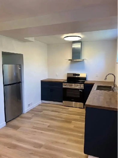 2 bedroom 1 bath apt for rent Image# 3