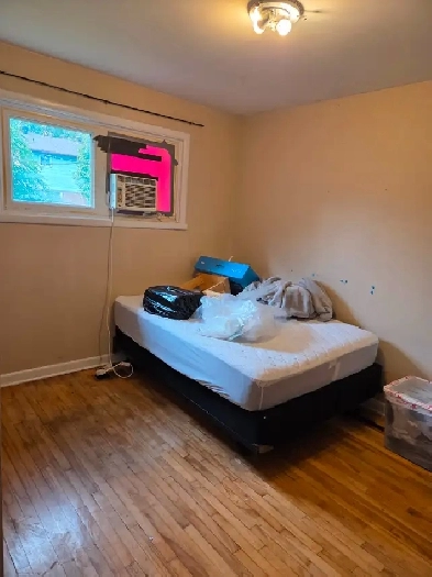 Room for $ 725: near Algonquin college and baseline transit stn Image# 2