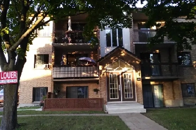 Grand Appartement 4 1/2 à louer, Chomedey, Laval Image# 8