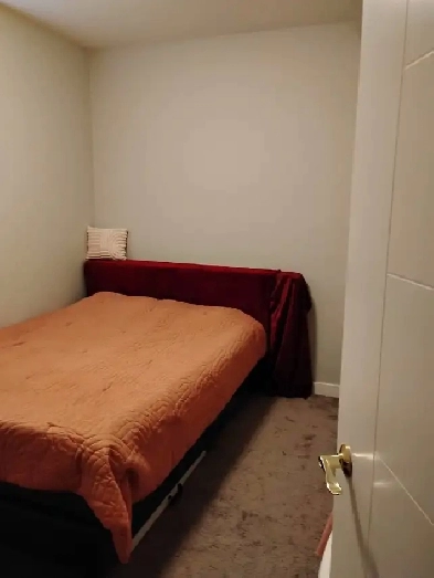 Private room for rent Image# 4