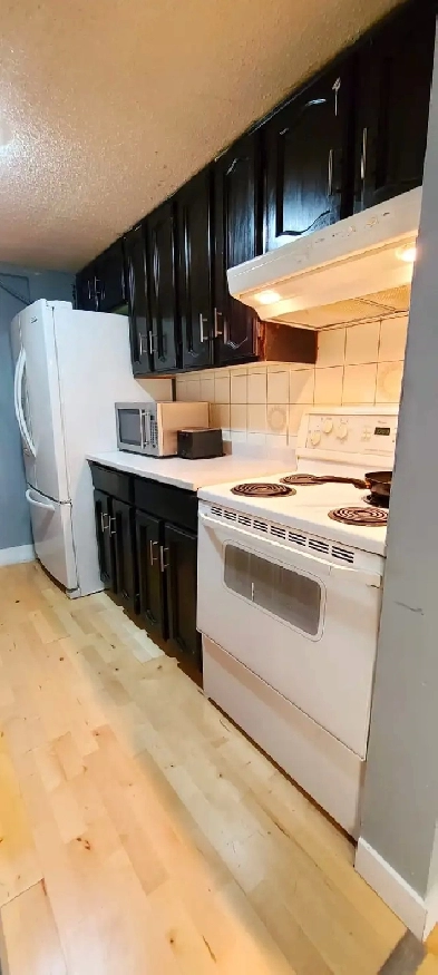 ROOMS FOR RENT IN CASTLERIDGE FROM SEPT. 1 Image# 3
