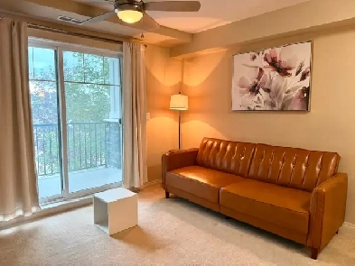Furnished 1 Bedroom Condo For Rent Image# 1