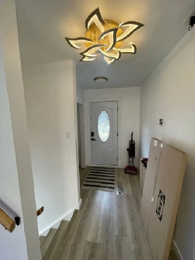 Merivale & Viewmount room Image# 3