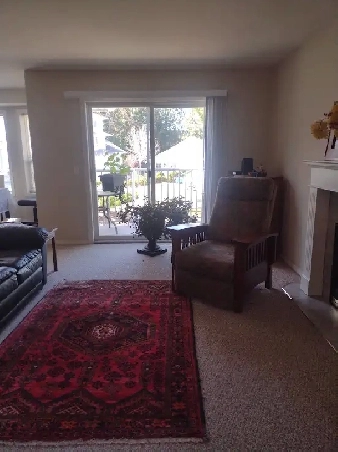 Cheerful, Sunny, Large Furnished  Room with Private Ensuite Bath Image# 1