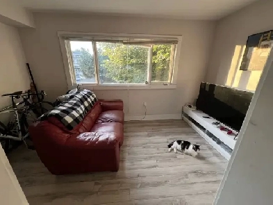Sept 1st  New Reno Large One Bright Bedroom Center Halifax Image# 4