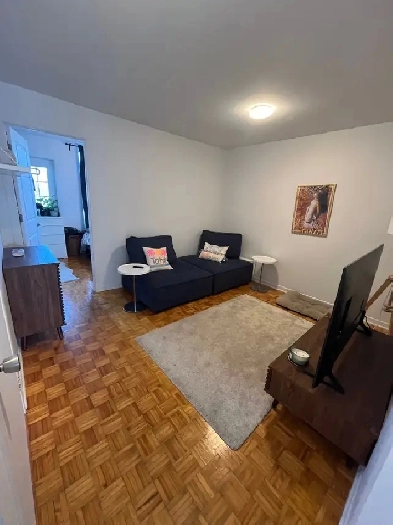 Appartement 3 1/2 à louer - Metro Joliette - Hochelaga Image# 8