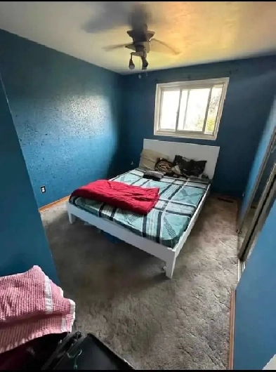 Room For Rent Image# 1