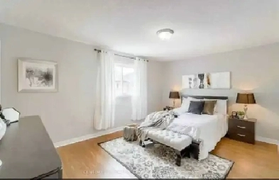 NBCC, McAllister, UNB 2bedroom 3rd storage room house for rent Image# 1
