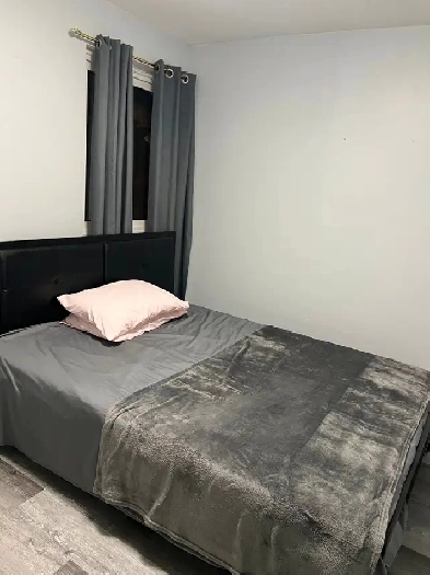Basement/Main Floor Room for Rent in Scarborough for on Sept 01 Image# 1