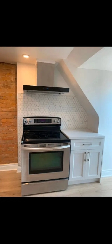 1BR APT IN SUITE LAUNDRY FREE WIFI Image# 1