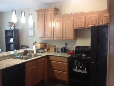 PET FRIENDLY - 3  BEDROOM APT FOR SEPTEMBER 1ST Image# 9