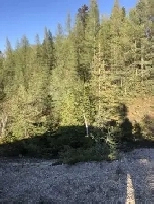 80 Acres In The Pas Image# 1
