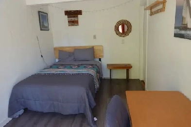 French door to garden, new flooring and paint Image# 2