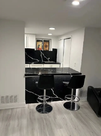 Gorgeous 1 BR Basement Apt at Keele & Lawrence Image# 7