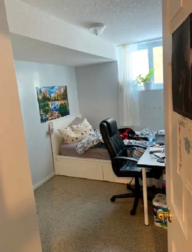 Student-Friendly 3-Bed Apartment - Walk to Univeristy of Guelph Image# 5