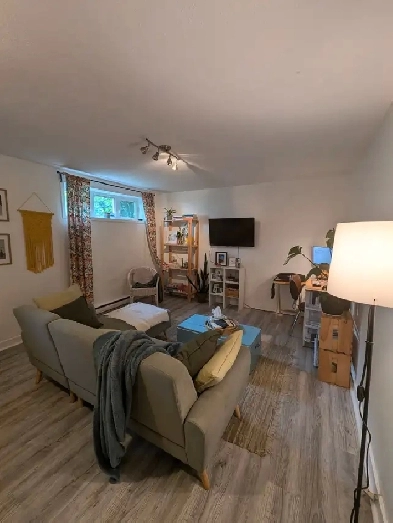 appartement 3 1/2 à louer Image# 7
