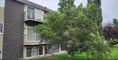 'Large Master Bedroom for Rent – Near West Edmonton Mall!' Image# 5