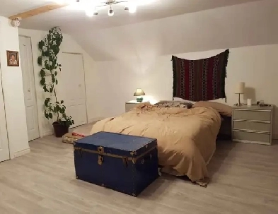 Disponible immédiatement : Magnifique grand logement 3 ½ sur 2 é Image# 1