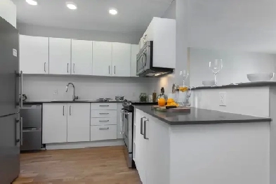 Renovated two-bedroom suite in Forest Hill - ID 1335 Image# 3
