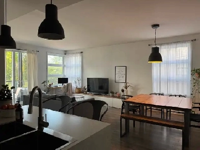 Magnifique condo 5 1/2 à louer Image# 8