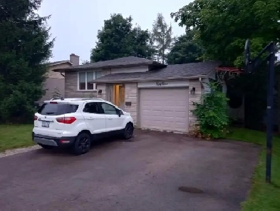 Room near the university — open now Image# 1