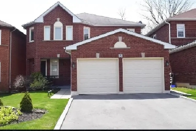 Beautiful and spacious two bedroom basement apartment Image# 2