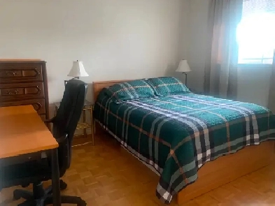 Cozy room in Killarney available immediately! Image# 5