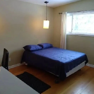 Sept1-2 ROOMs-Merivale/Hunt Club-20m/Algonq-w/bath-seeVIDEO's Image# 13