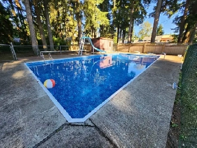 WHOLE House Rancher | 5–6 Bed | 3 Bath | Pool | Huge Gated Yard Image# 12