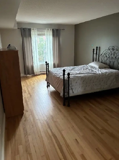 chambre à louer st Foy campagnil Image# 1