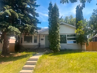 1 Bedroom Basement Suite for Rent Image# 3