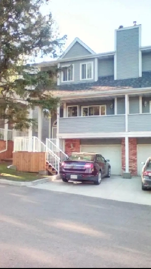 Roommate Wanted XL Room Available must be Pet Friendly $1000 Image# 1