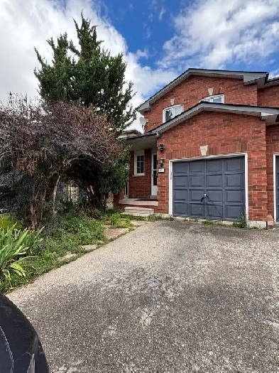 3 bedroom house for rent Image# 10