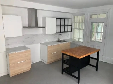 Appartement 4 1/2 rue Fraser quartier Montcalm, Québec Image# 5