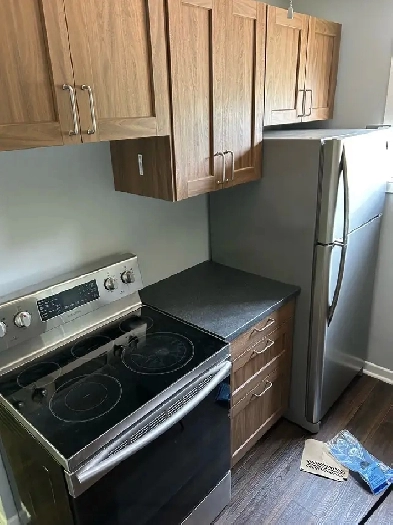 Renovated Apartment for Rent 2Bdrm Image# 4