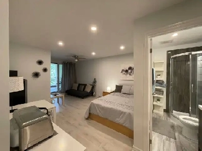 RENOVATED PRIVATE ROOM/ STUDIO IN TOWNHOUSE STEELES/ DON MILLS Image# 5