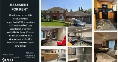 Beautiful Furnished 1-Bedroom Walk-Out Apartment Image# 3