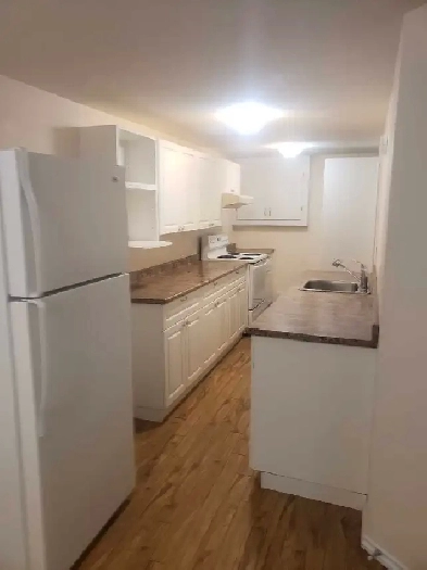 1 BEDROOM BASEMENT SUITE Image# 2