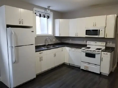 2 Bedroom, 1 Bathroom Basement Suite in the Heart of Stonebridge Image# 9