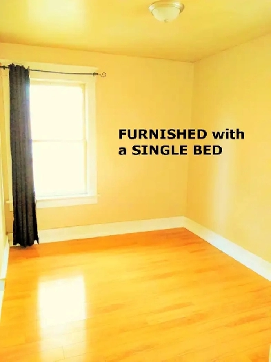 (Downtown) a Private ROOM, shared 2-Bedroom Apartment! Image# 5