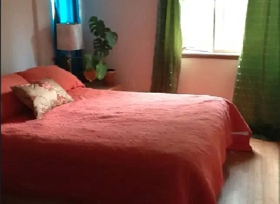Share Beach one bedroom apartment in West End Image# 1