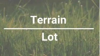 RECHERCHE Terrain Image# 1