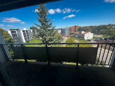 3 bedroom apartment for sublet Image# 1