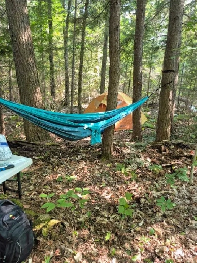 Fabulous Forest for prescriptive deep breathing Image# 1