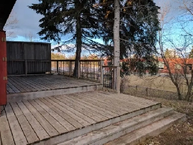 Beautiful 4- bedroom house for rent near St. Lawrence College Image# 6