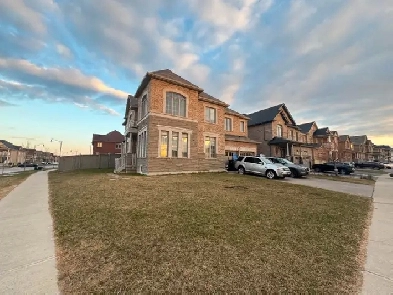 Brampton Rooms for Rent | Clean, Safe, Convenient | Affordable Image# 1