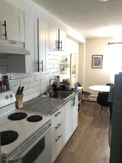 College Park 2 bedroom suite recently renovated Image# 5