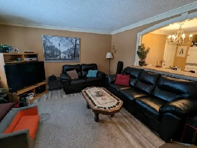 Recently Renovated  3 Bedroom Main Floor House Image# 7