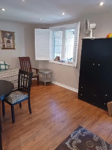 Beautiful 1 Bedroom Apartment Basement - (Yonge and Mulock) Image# 7
